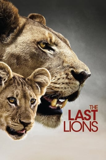 Gli ultimi leoni