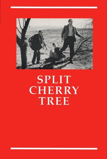 Split Cherry Tree