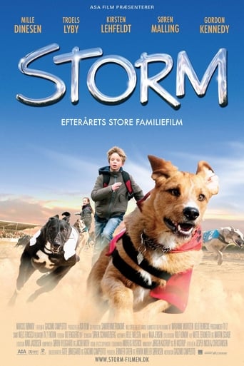 Storm - Una tempesta a 4 zampe